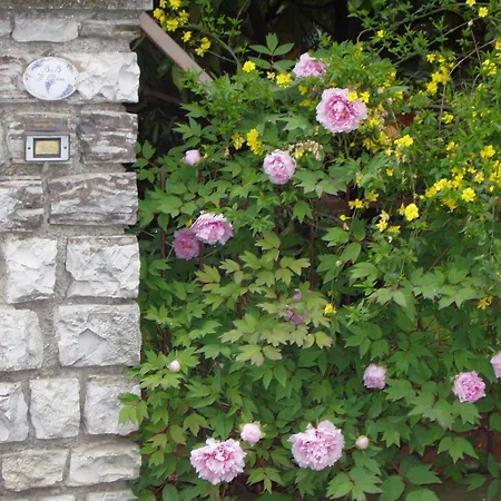 B&B Il Glicine-2